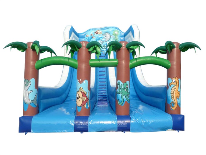 Beach slide