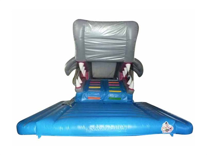 Snappy Shark L8.0xW5.0xH5.0m