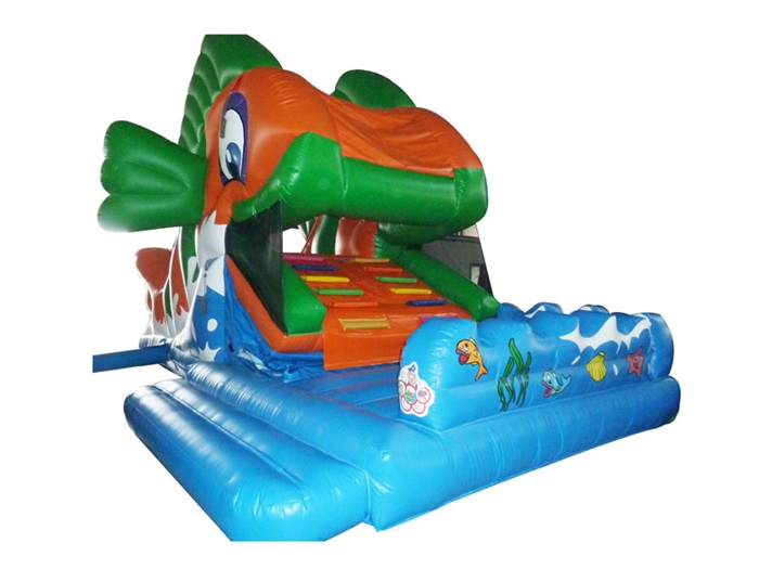 snappy fish L8.0xW5.0xH5.0m